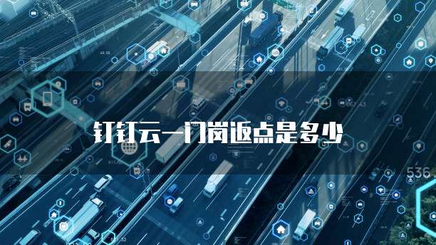 钉钉云一门岗返点是多少