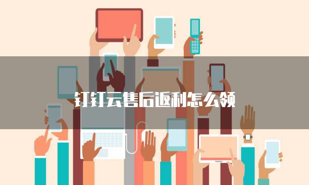 钉钉云售后返利怎么领