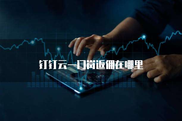 钉钉云一门岗返佣在哪里