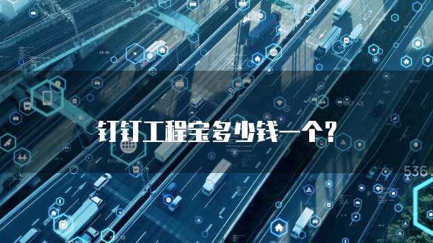 钉钉工程宝多少钱一个？