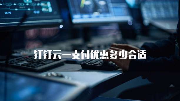 钉钉云一支付优惠多少合适