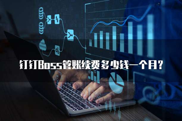 钉钉Boss管账续费多少钱一个月？