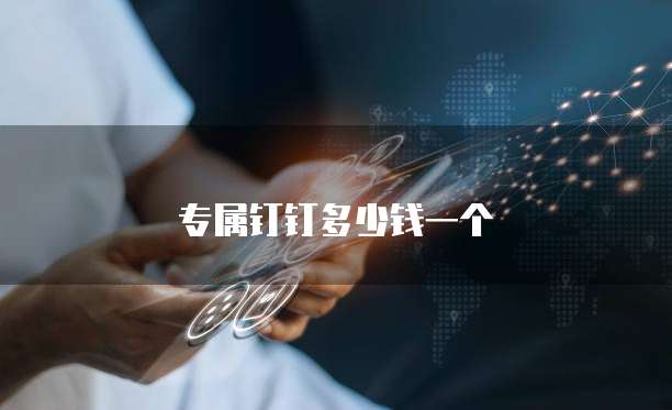 专属钉钉多少钱一个