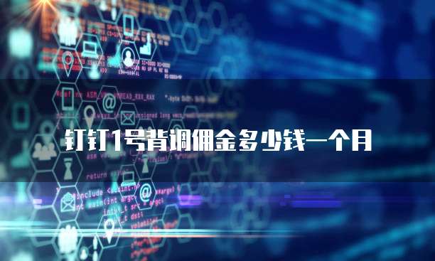 钉钉1号背调佣金多少钱一个月