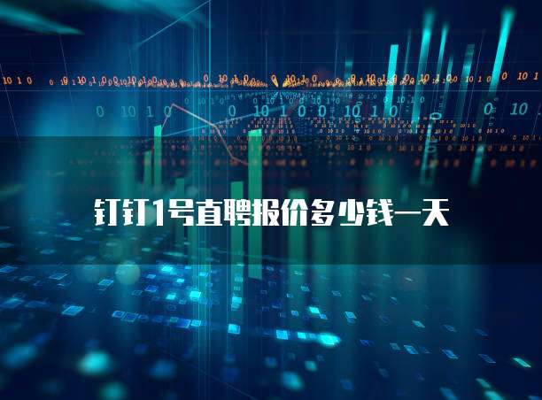 钉钉1号直聘报价多少钱一天