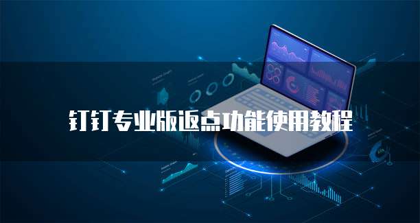 钉钉专业版返点功能使用教程
