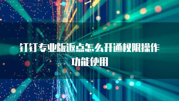 钉钉专业版返点怎么开通权限操作功能使用