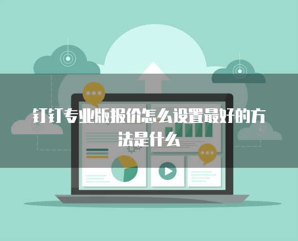 钉钉专业版报价怎么设置最好的方法是什么