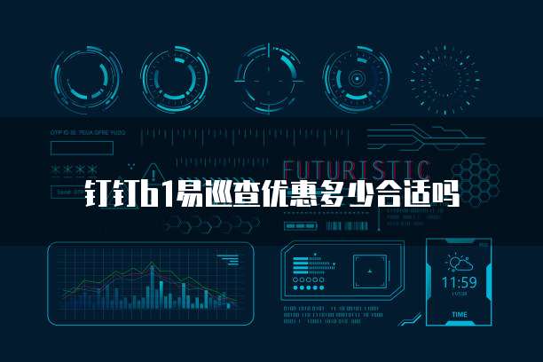 钉钉B1易巡查优惠多少合适吗