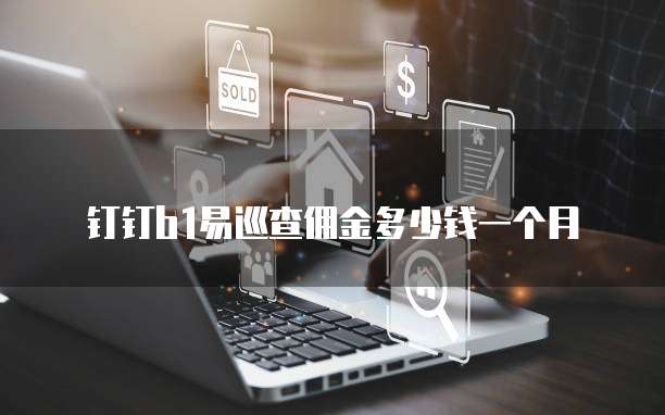 钉钉b1易巡查佣金多少钱一个月