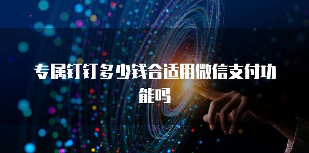 专属钉钉多少钱合适用微信支付功能吗
