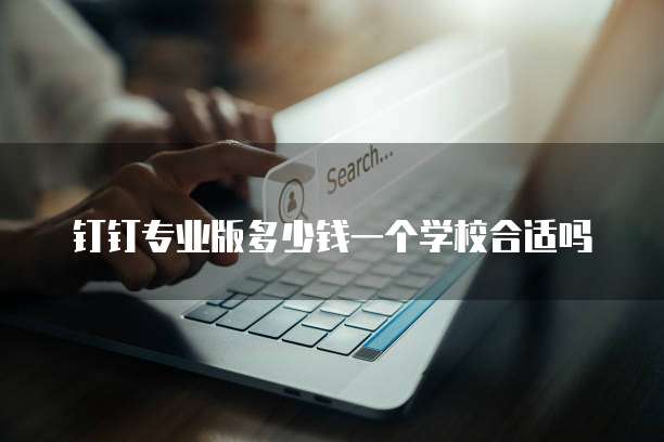 钉钉专业版多少钱一个学校合适吗