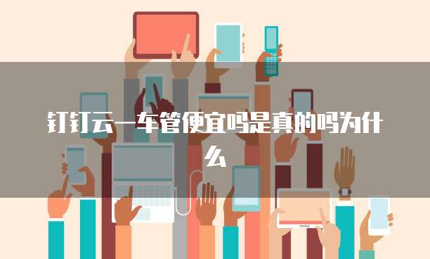 钉钉云一车管便宜吗是真的吗为什么