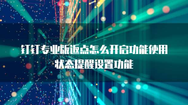 钉钉专业版返点怎么开启功能使用状态提醒设置功能