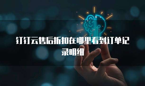 钉钉云售后折扣在哪里看到订单记录明细