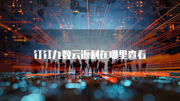 钉钉九数云返利在哪里查看