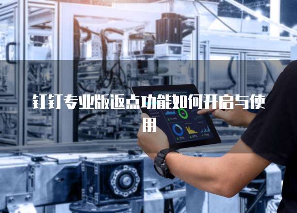 钉钉专业版返点功能如何开启与使用