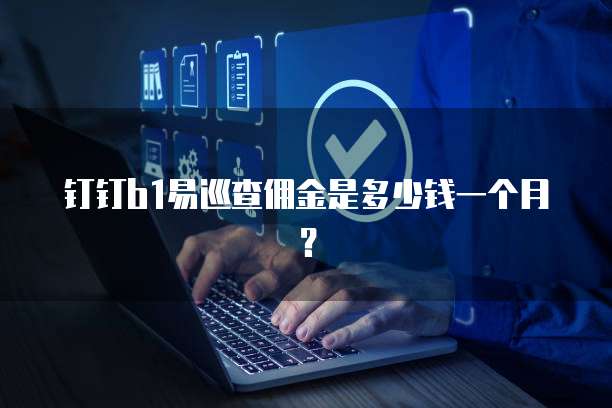钉钉b1易巡查佣金是多少钱一个月？