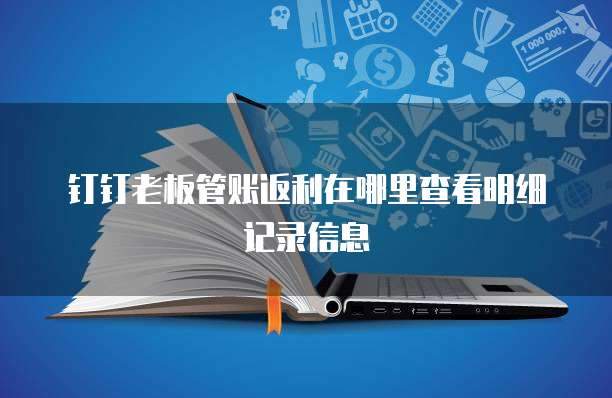 钉钉老板管账返利在哪里查看明细记录信息