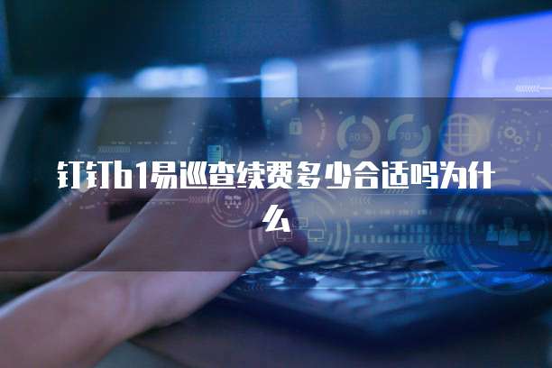 钉钉b1易巡查续费多少合适吗为什么