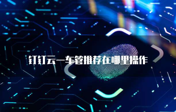 钉钉云一车管推荐在哪里操作
