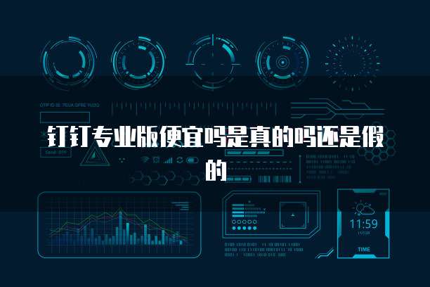 钉钉专业版便宜吗是真的吗还是假的