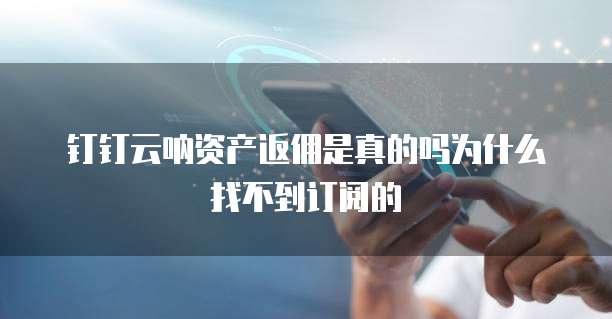 钉钉云呐资产返佣是真的吗为什么找不到订阅的