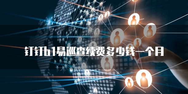 钉钉b1易巡查续费多少钱一个月