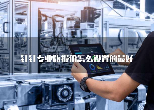钉钉专业版报价怎么设置的最好