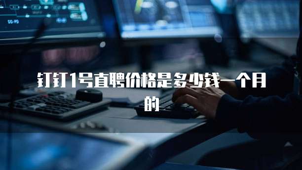 钉钉1号直聘价格是多少钱一个月的