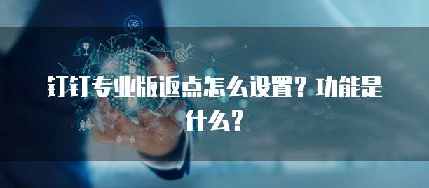 钉钉专业版返点怎么设置？功能是什么？