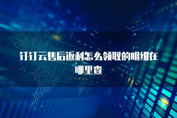 钉钉云售后返利怎么领取的明细在哪里查