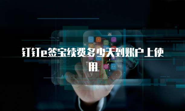 钉钉e签宝续费多少天到账户上使用