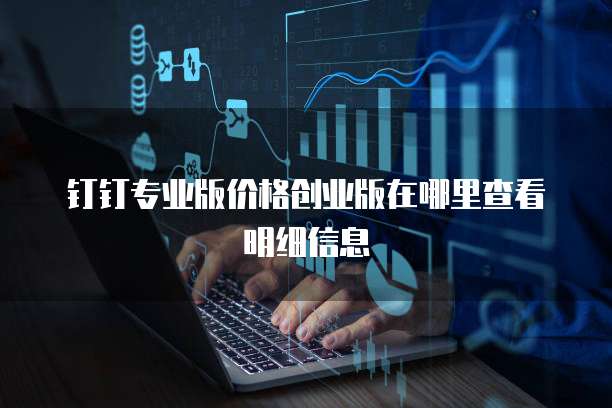 钉钉专业版价格创业版在哪里查看明细信息