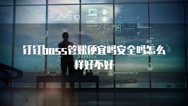 钉钉boss管账便宜吗安全吗怎么样好不好