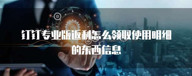 钉钉专业版返利怎么领取使用明细的东西信息