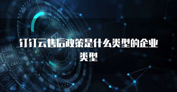 钉钉云售后政策是什么类型的企业类型