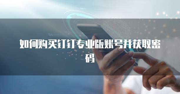 如何购买钉钉专业版账号并获取密码