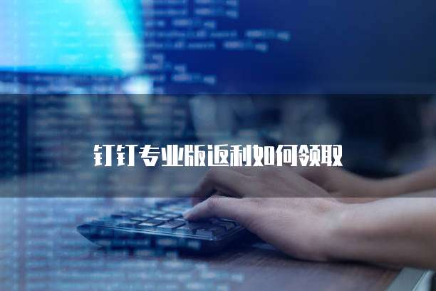 钉钉专业版返利如何领取