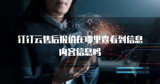 钉钉云售后报价在哪里查看到信息内容信息吗