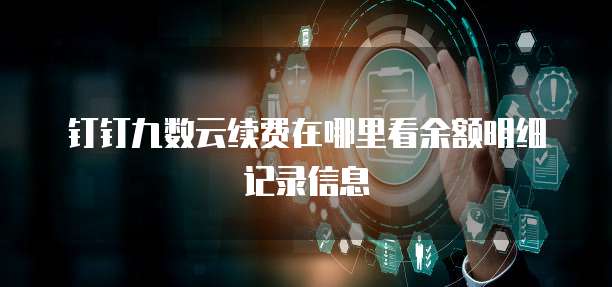 钉钉九数云续费在哪里看余额明细记录信息