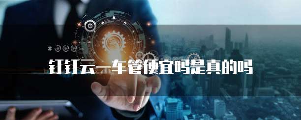 钉钉云一车管便宜吗是真的吗