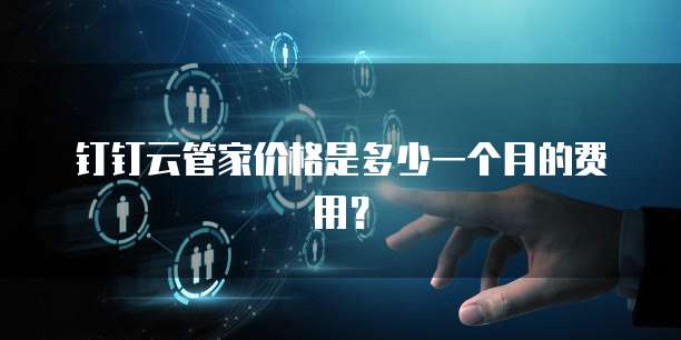 钉钉云管家价格是多少一个月的费用？