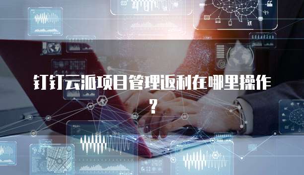 钉钉云派项目管理返利在哪里操作？