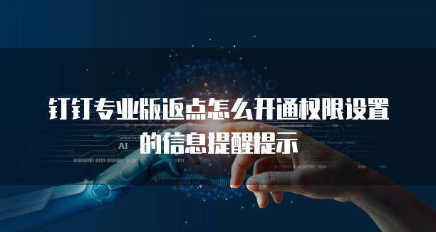 钉钉专业版返点怎么开通权限设置的信息提醒提示