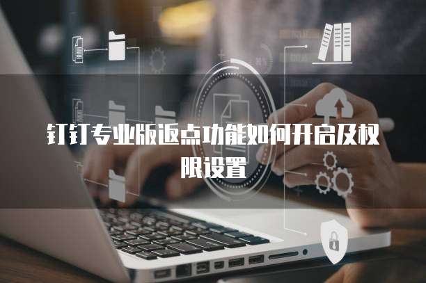 钉钉专业版返点功能如何开启及权限设置