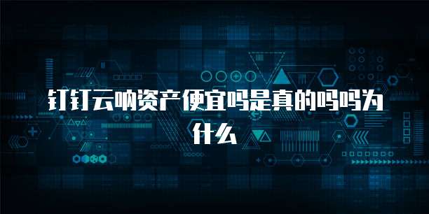 钉钉云呐资产便宜吗是真的吗吗为什么