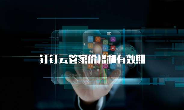 钉钉云管家价格和有效期