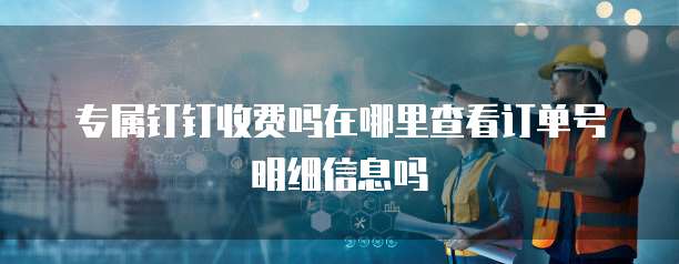 专属钉钉收费吗在哪里查看订单号明细信息吗
