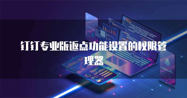 钉钉专业版返点功能设置的权限管理器